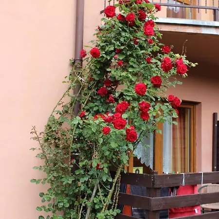 Na Wiejskiej Homestay szállás